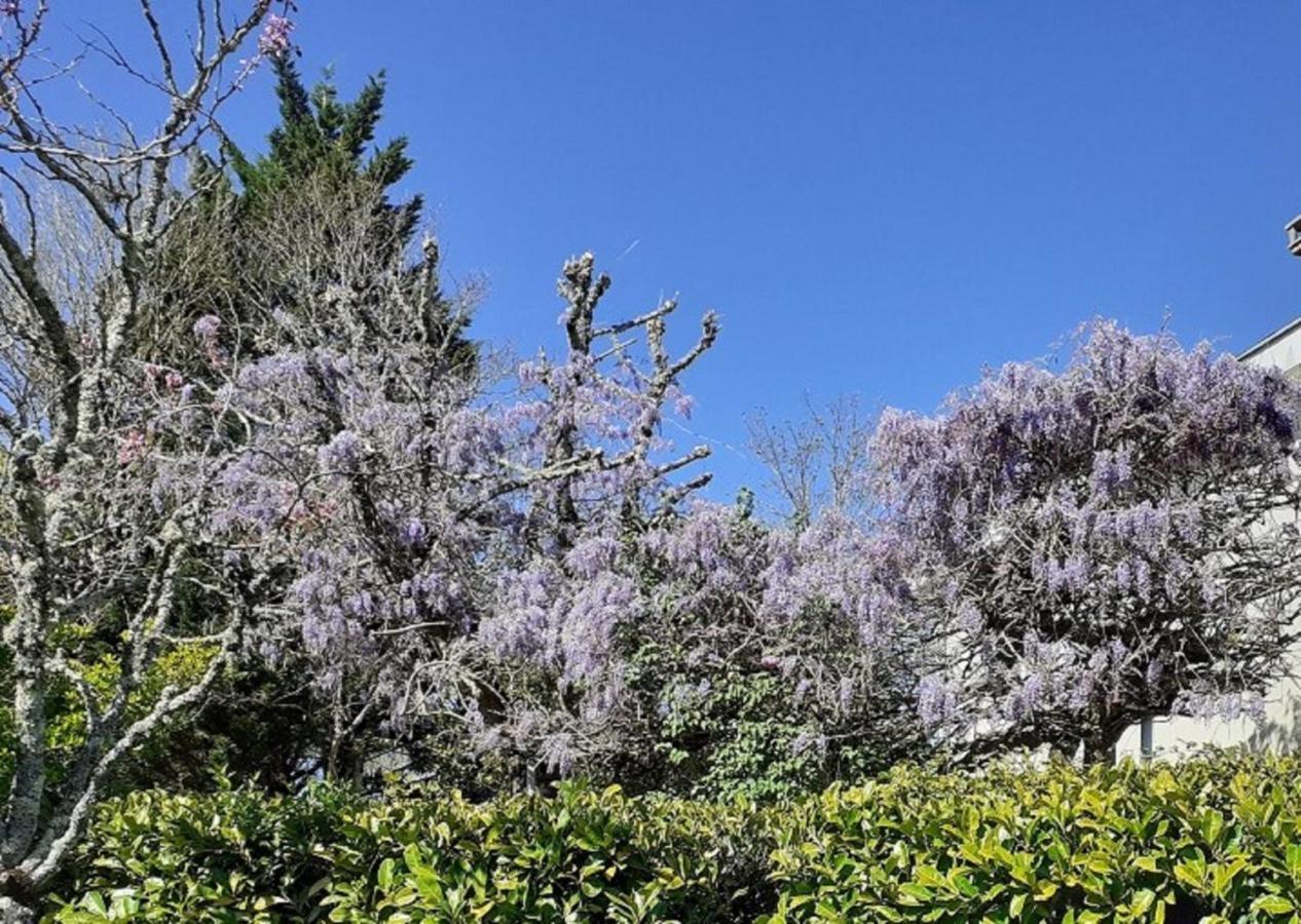 Le Gite Des Couderches Plazac エクステリア 写真